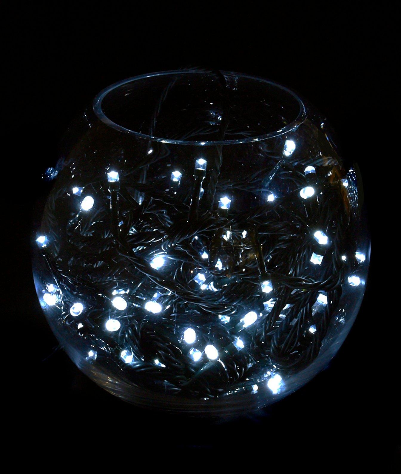 LED Connectable String Lights Studio